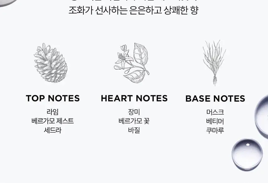 [얇은 모발용][새싹케어] 케라스타즈 제네시스 컨디셔너 미니 75ml 상세페이지 10